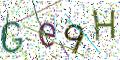 图形验证