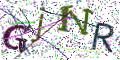 图形验证