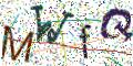 图形验证
