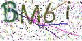 图形验证