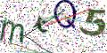 图形验证