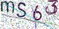 图形验证