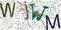 图形验证