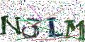 图形验证