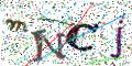 图形验证