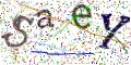 图形验证