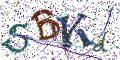 图形验证