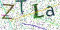 图形验证