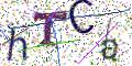 图形验证