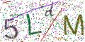 图形验证