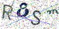 图形验证