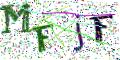 图形验证