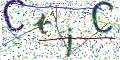 图形验证