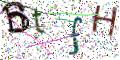 图形验证