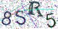 图形验证