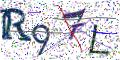 图形验证