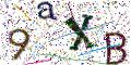 图形验证