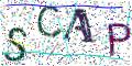 图形验证
