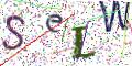 图形验证
