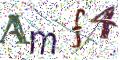 图形验证