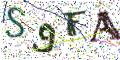 图形验证
