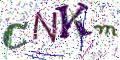 图形验证