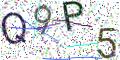 图形验证