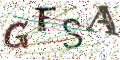 图形验证