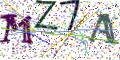 图形验证