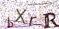 图形验证