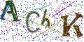 图形验证