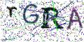 图形验证