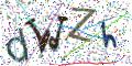 图形验证