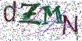 图形验证