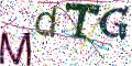 图形验证