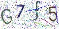 图形验证