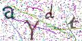 图形验证