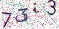 图形验证