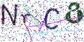 图形验证