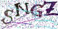 图形验证