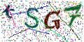 图形验证