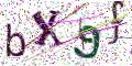 图形验证