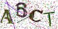 图形验证