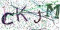 图形验证