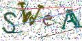 图形验证