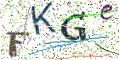 图形验证
