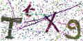 图形验证