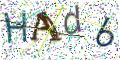 图形验证