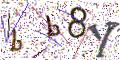 图形验证