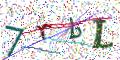 图形验证
